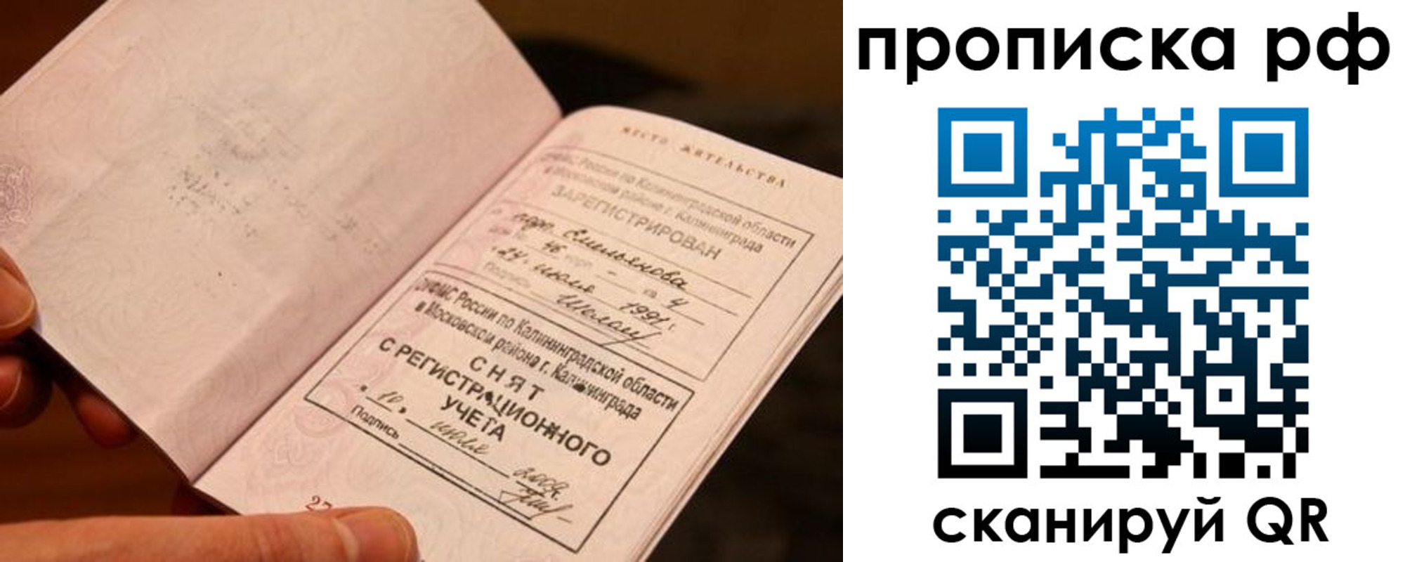прописка гарантия в Лосино-Петровском